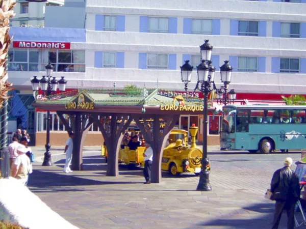 Estudio en Avenida de Cristobal Colón, 26 - Foto 22