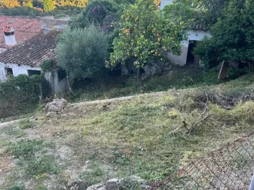 Finca rústica en  Calle Pasada de Alcalá 24 - Foto 3