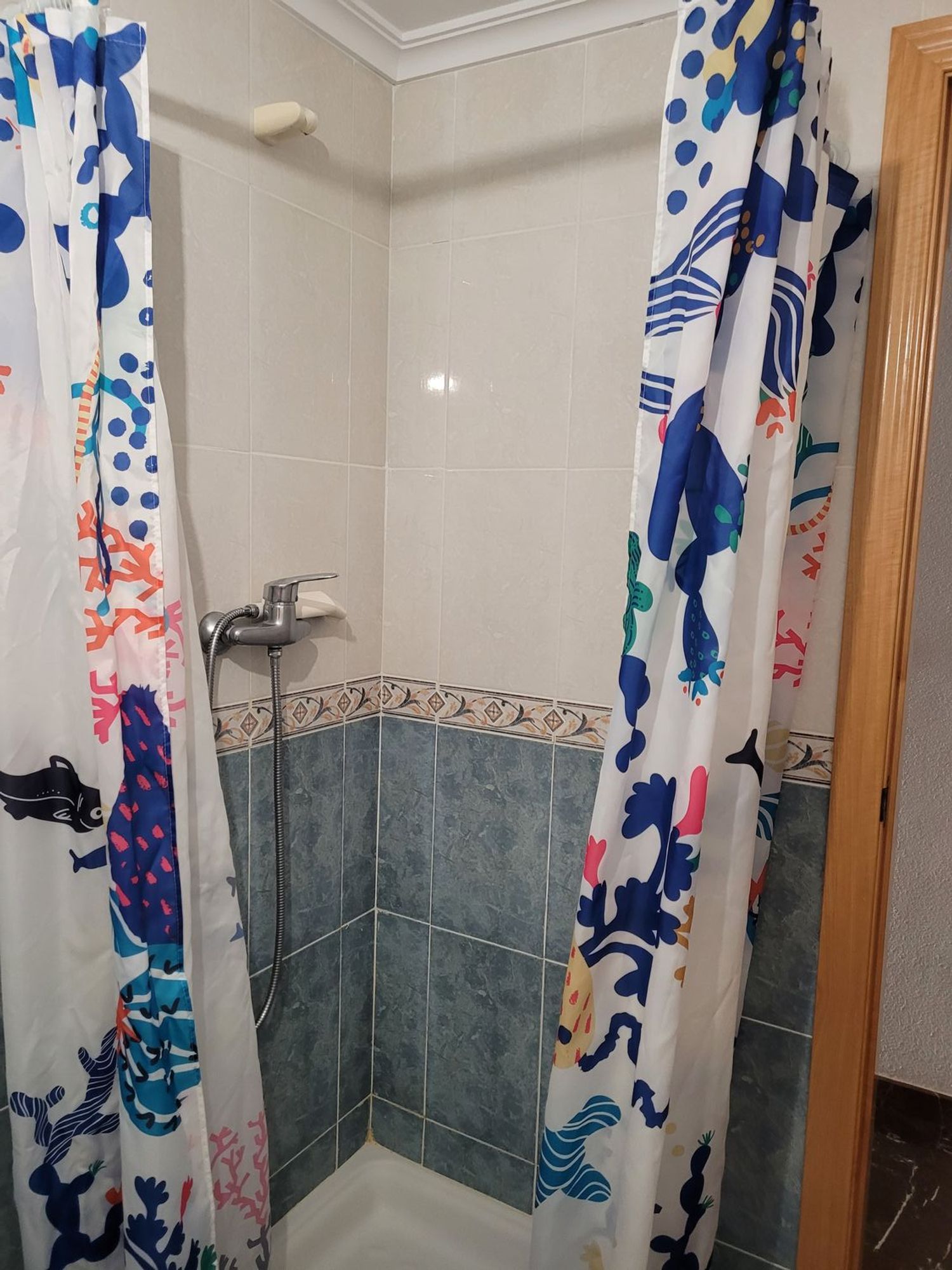 Piso en Dr. Vander Hosftadt, 2, Centro, Centro - Foto 35