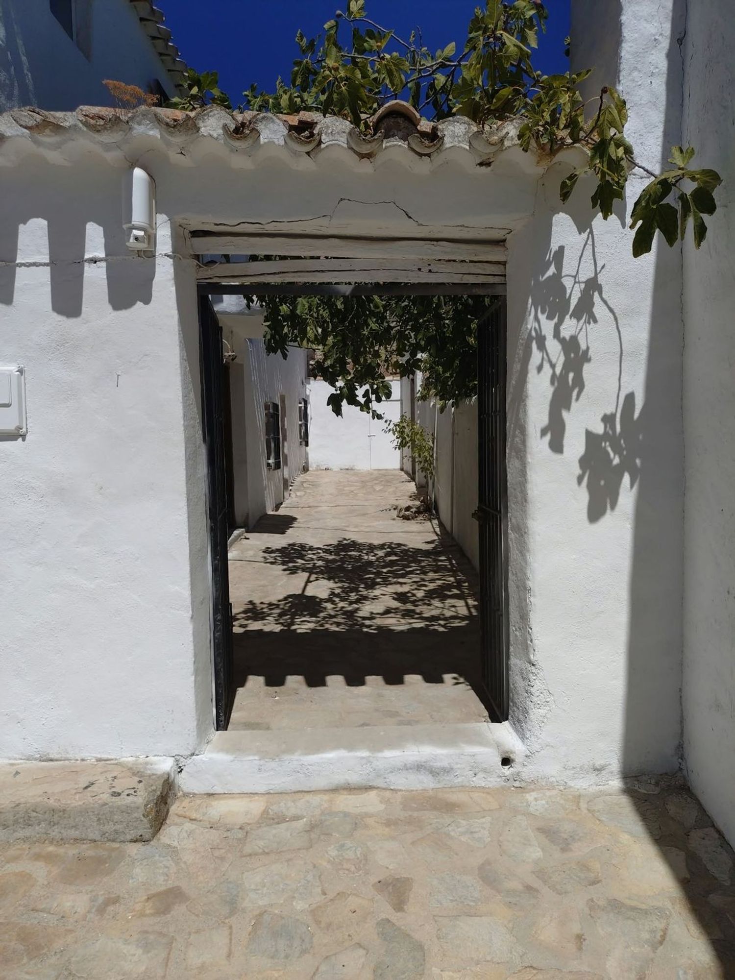 Cortijo en Cortijo en Diseminado Extrarradio, 117 - Foto 3