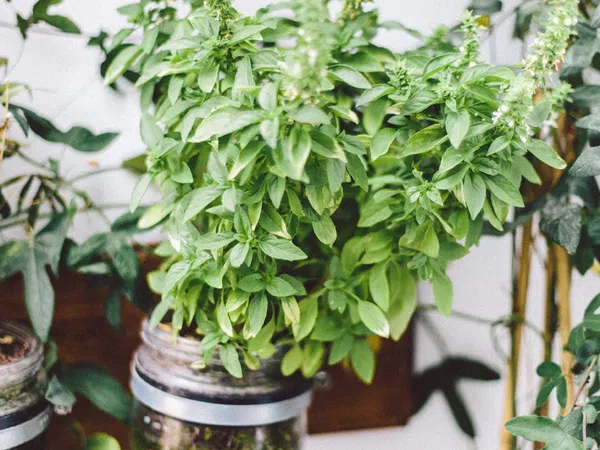 Dúplex en calle de Francesc Eiximenis, 79 - Foto 20