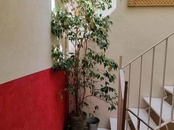 Ático en Calle Occident, 67, Collblanc - Foto 11