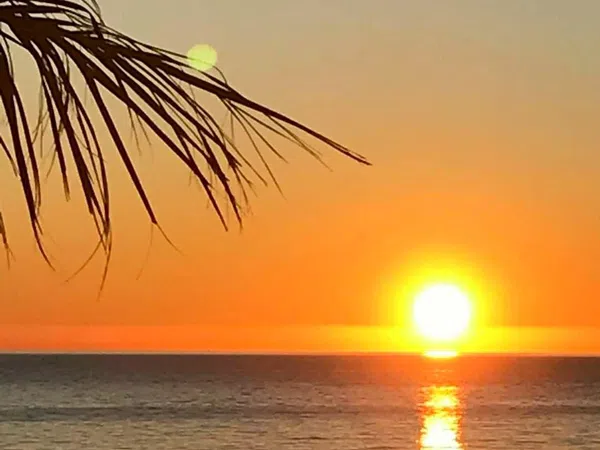 Piso en avenida de Bartomeu Riutort, 37 - Foto 14