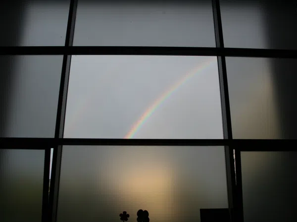 Estudio en avenida del Cerro del Águila, 2 - Foto 2