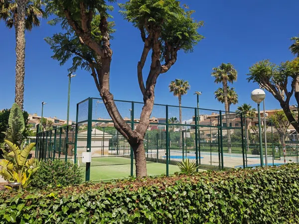 Chalet adosado en Calle Enric Valor, 12, Alicante Golf - Foto 3