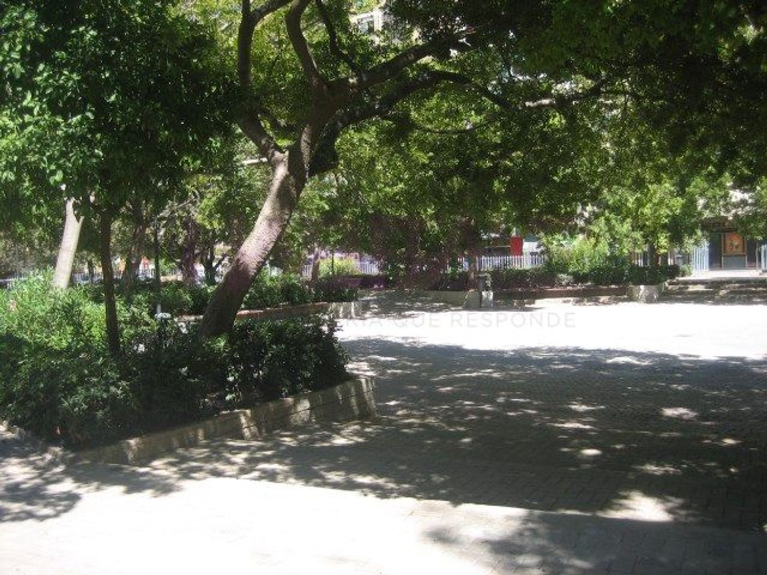Piso en Calle de Campoamor, Ciutat Jardí - Foto 19