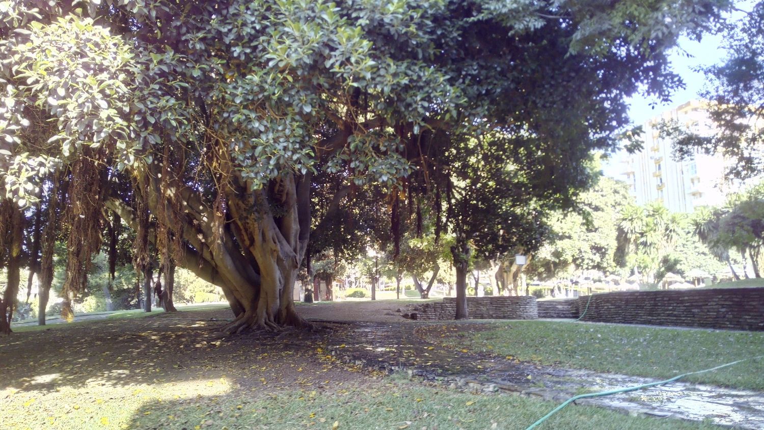 Estudio en Avenida Gamonal, 6, Parque de la Paloma, Parque de la Paloma - Foto 16