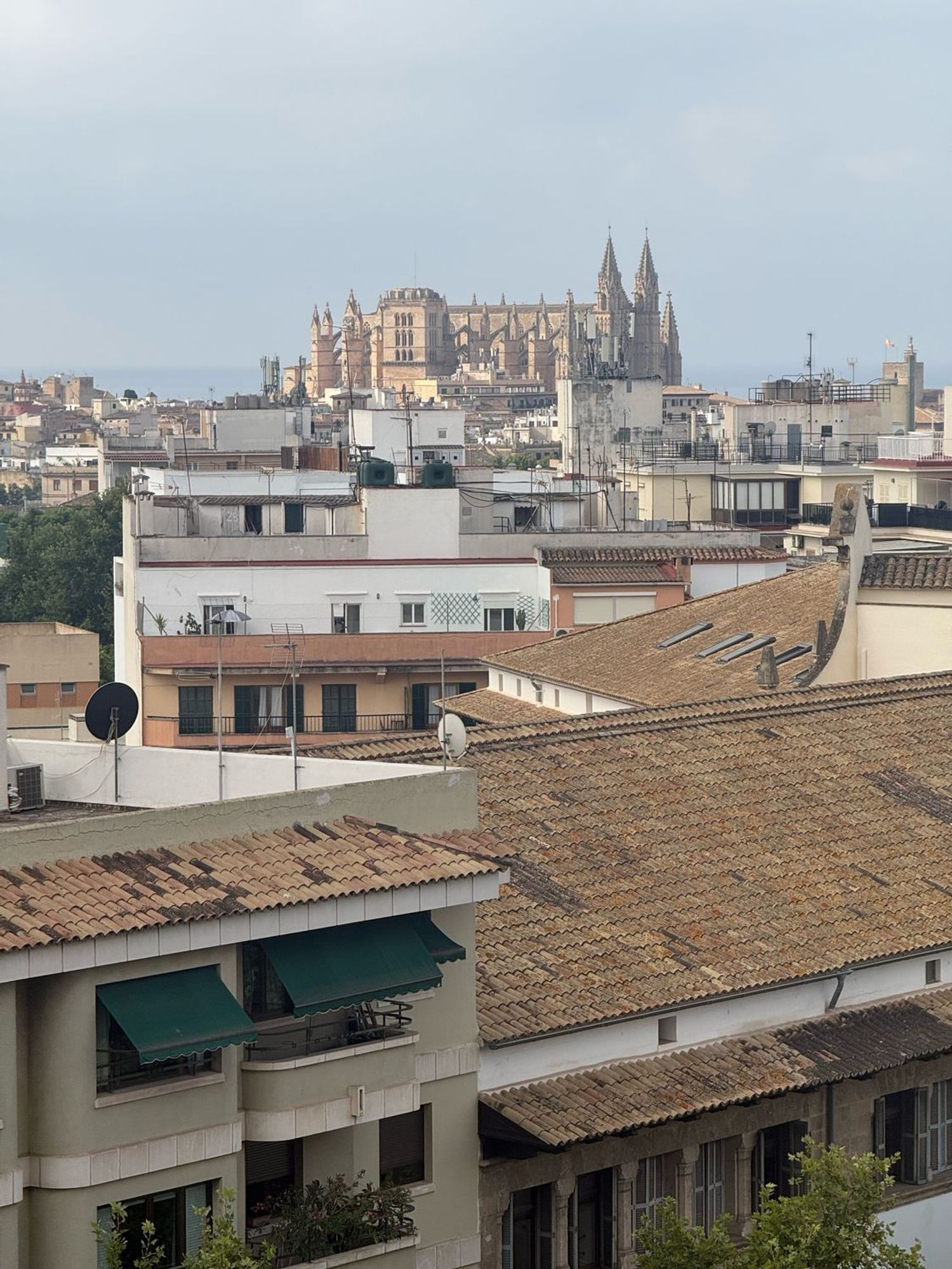 Piso en Avenida d'Alemanya, 2, Bons Aires - Foto 22