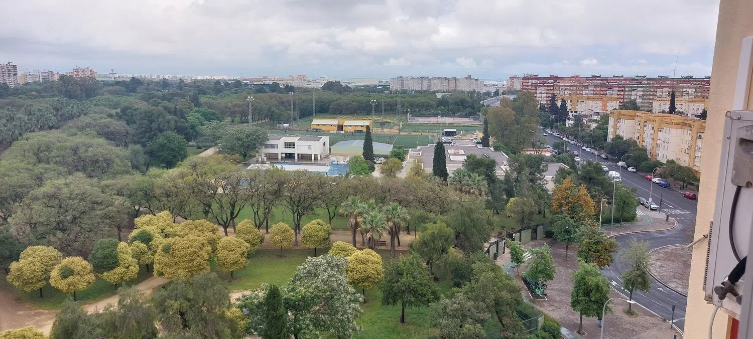 Piso en calle Fray Serafín de Ausejo, 9 - Foto 12