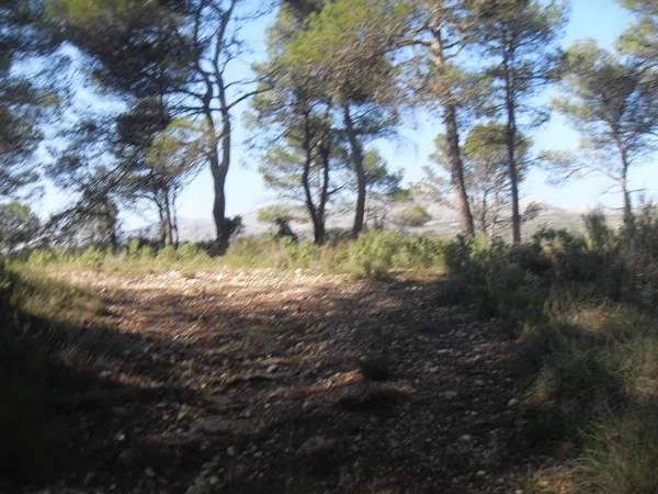 Finca rústica en Cv-712, 7 - Foto 11
