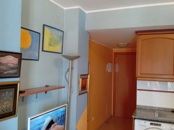 Estudio en Avenida de la Llibertat, 49, Zona Pueblo, Zona Pueblo - Foto 3