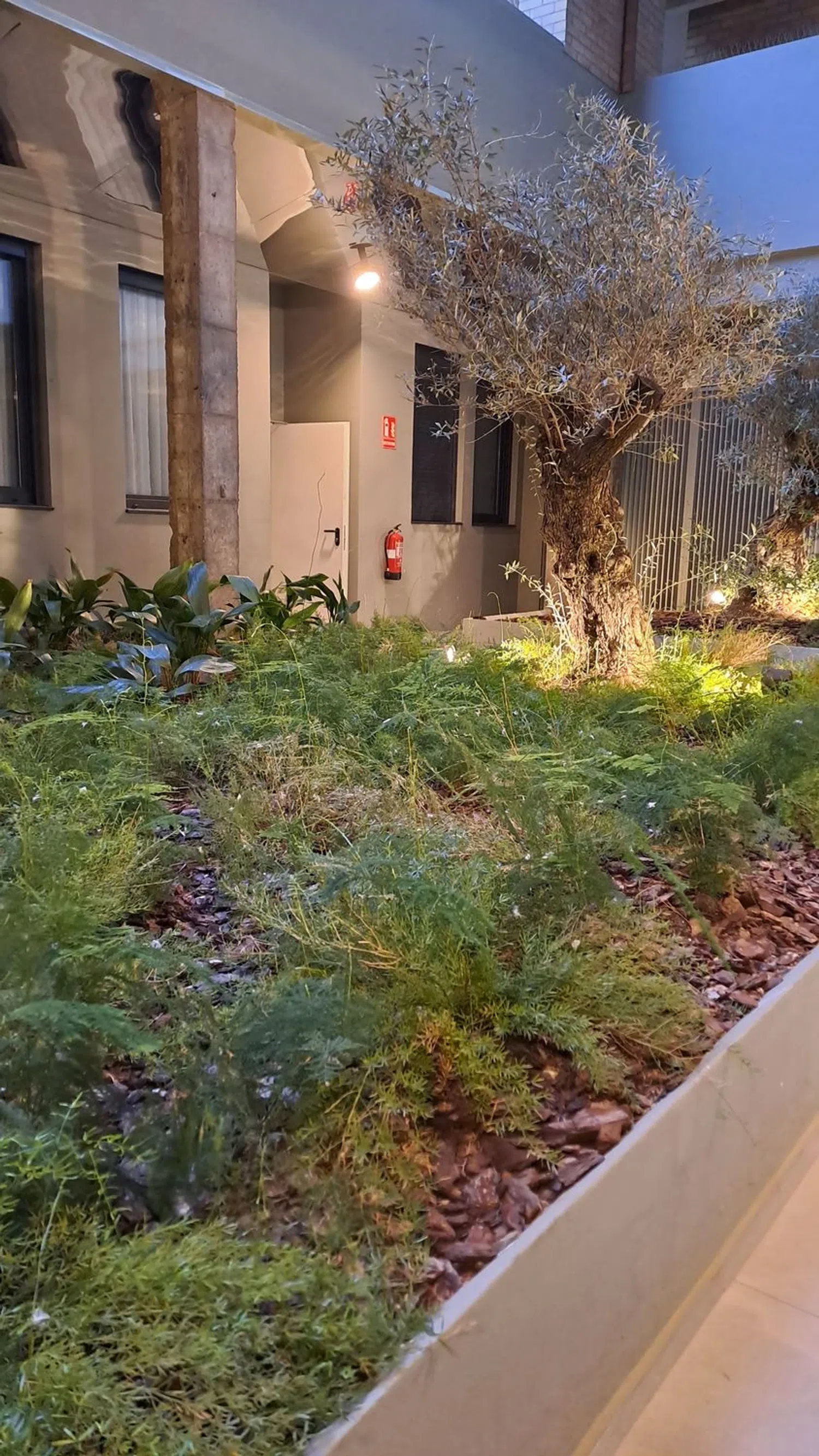 Piso en calle Federico García Lorca, 3 - Foto 35