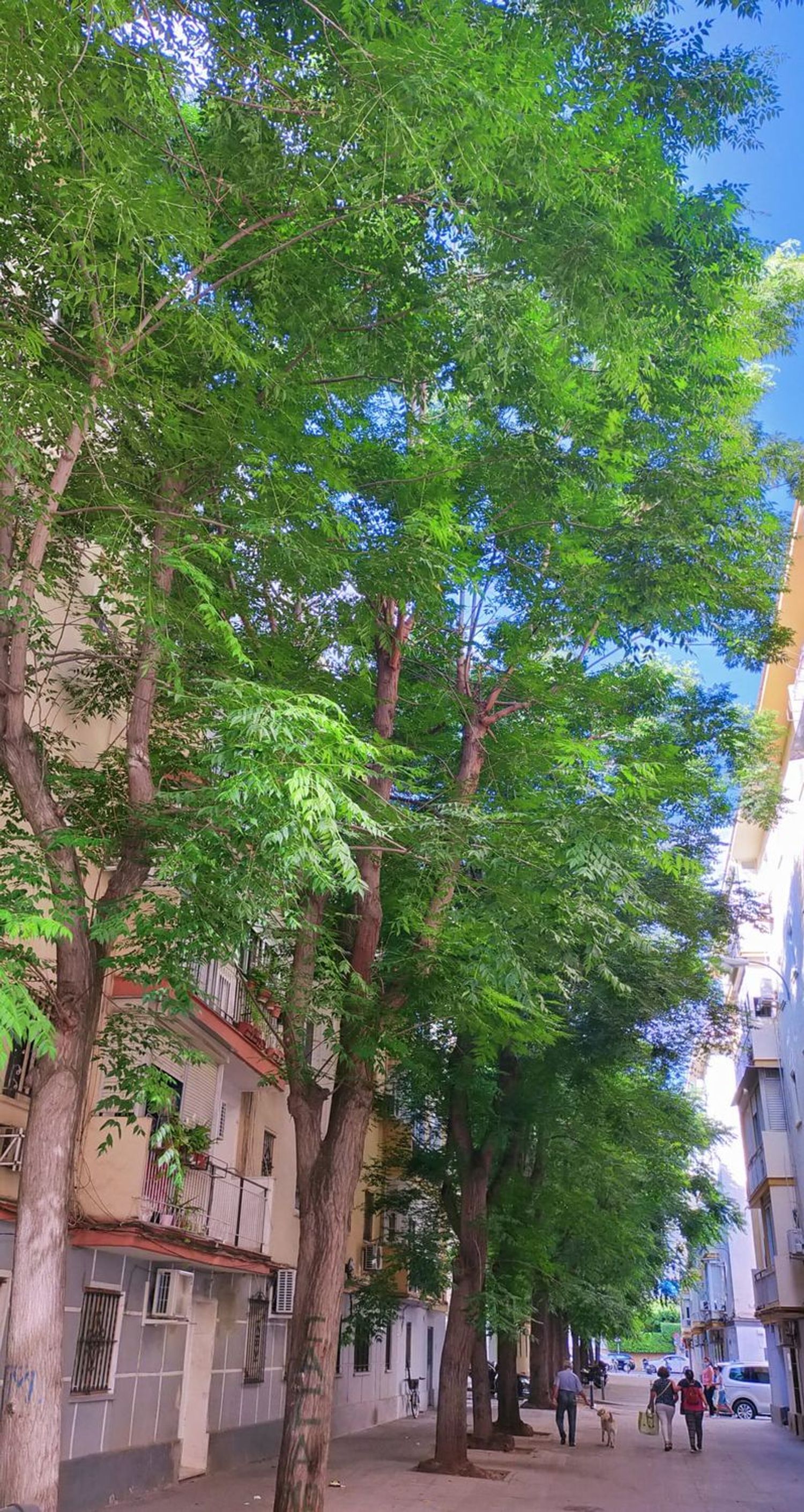 Piso en Calle Niebla, 37, Parque de los Principes - Calle Niebla - Foto 12