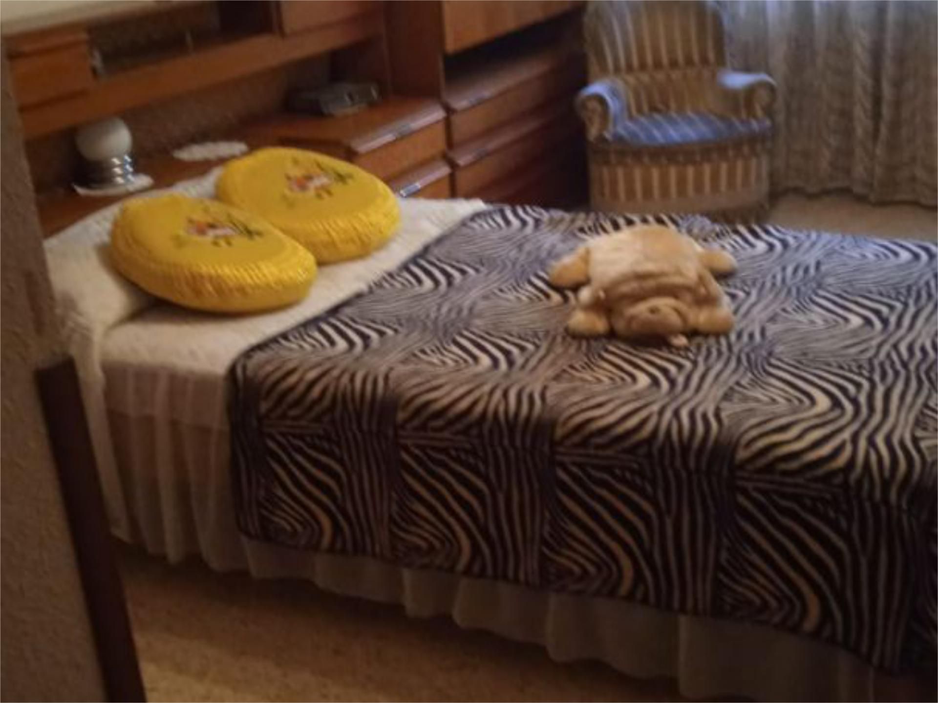 Piso en  Avenida Alfonso IX de León 126 - Foto 6