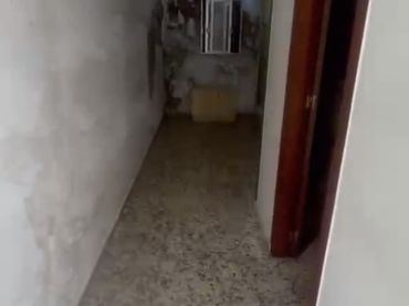 Planta baja en  Calle San Fulgencio 4 - Foto 3