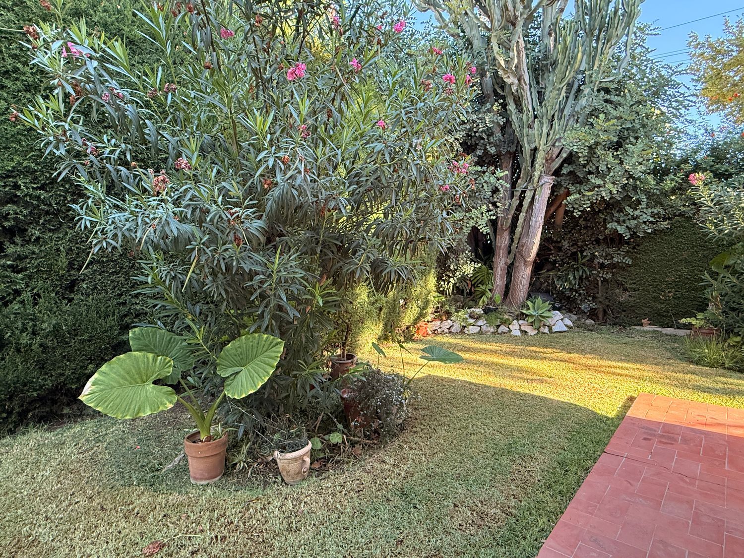 Piso en Avenida de la Fuente de la Rana, 9, Solymar - Puerto Marina, Solymar - Puerto Marina - Foto 15
