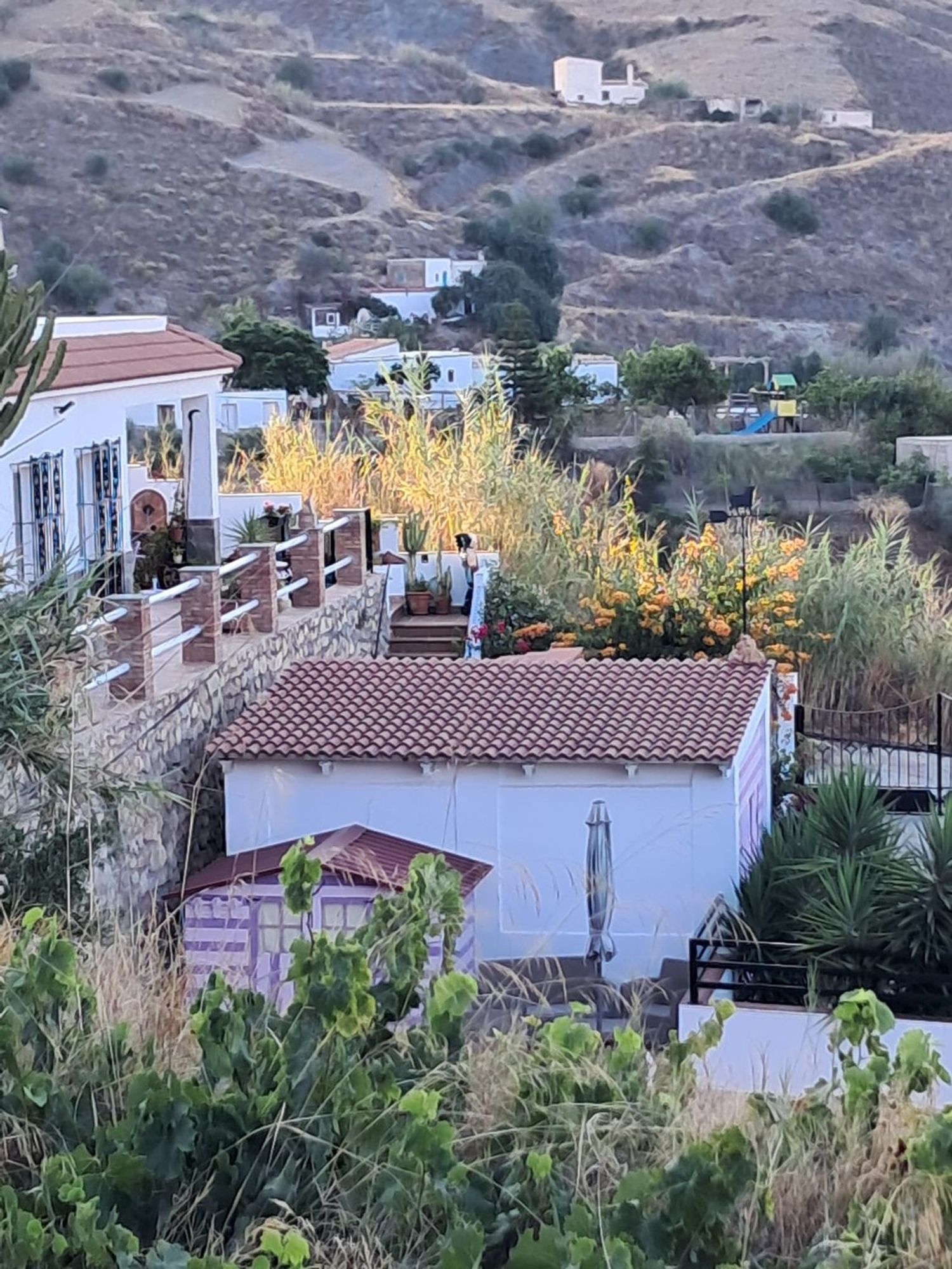 Cortijo en Cortijo en Haza Mora s/n - Foto 22