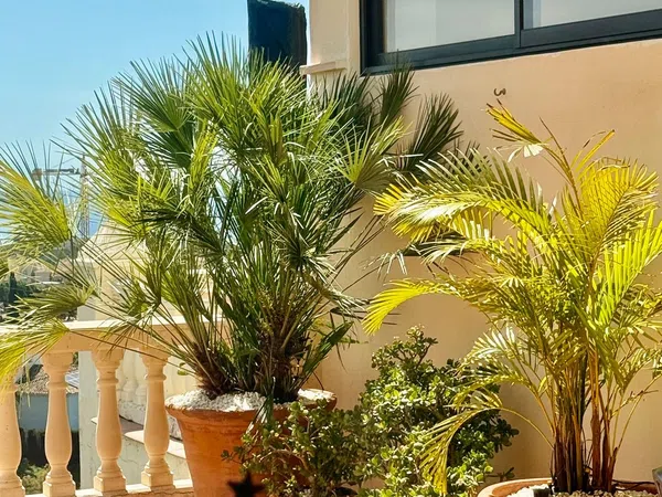 Chalet adosado en Paseo de Dinamarca, 18 - Foto 4