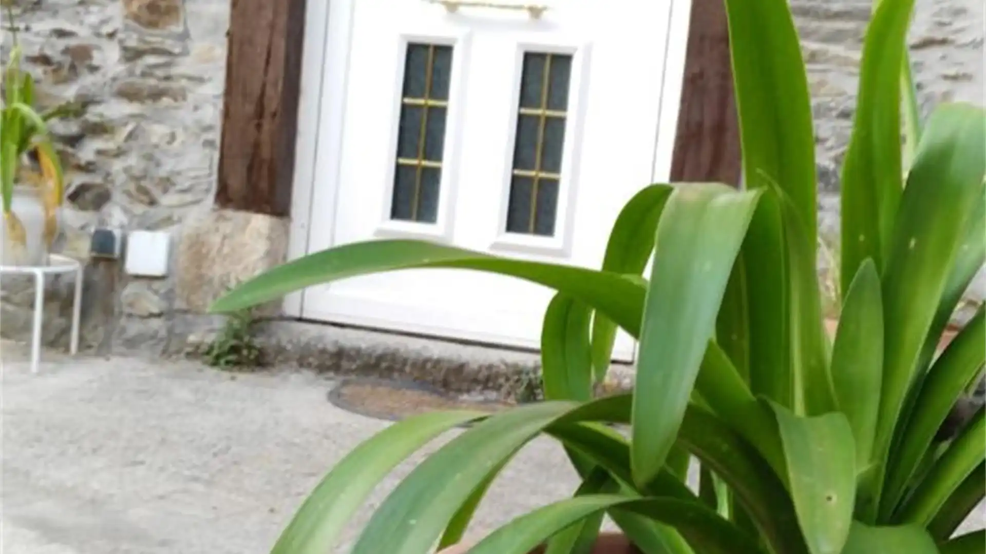 Chalet en  Carretera San Cidre - Foto 17