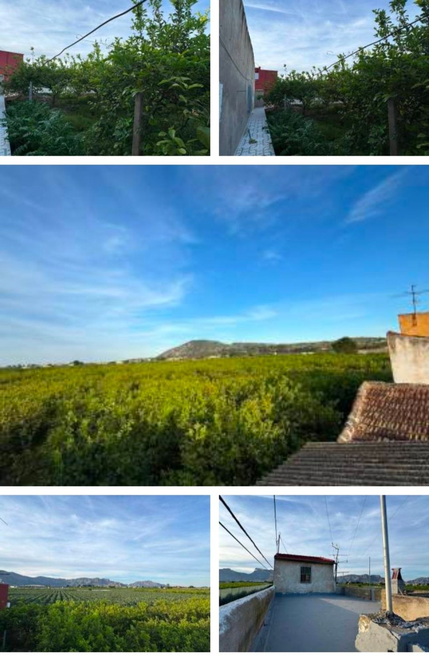 Casa o chalet independiente en Vereda Buena Vida, 219, Desamparados-Hurchillo-Torremendo, Desamparados-Hurchillo-Torremendo - Foto 4