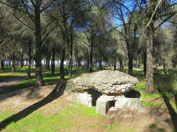Piso en Calle Valle del Roncal, 9, Pinar de las Rozas - Foto 36