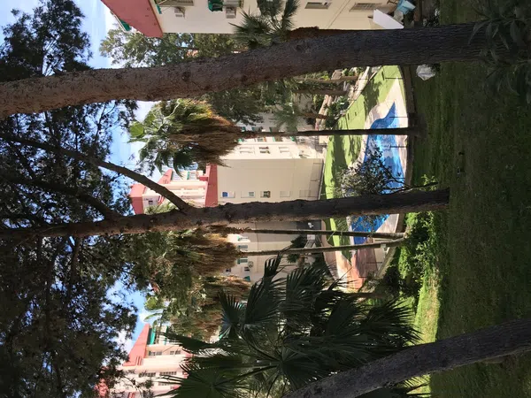 Dúplex en calle Gladiolos, 24 - Foto 10