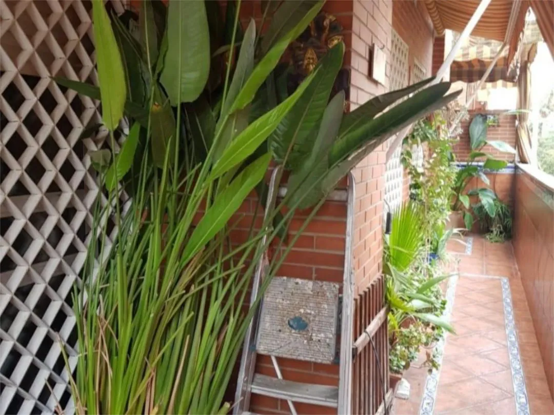 Piso en  Calle Cueva del Gato 3 - Foto 3