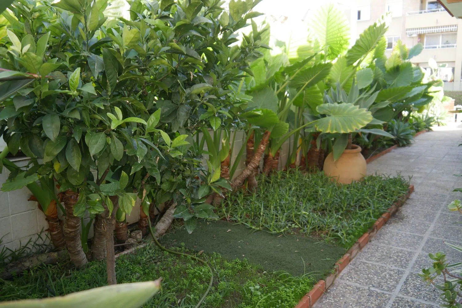 Casa independiente en calle Don Diego de Miranda, 6 - Foto 10