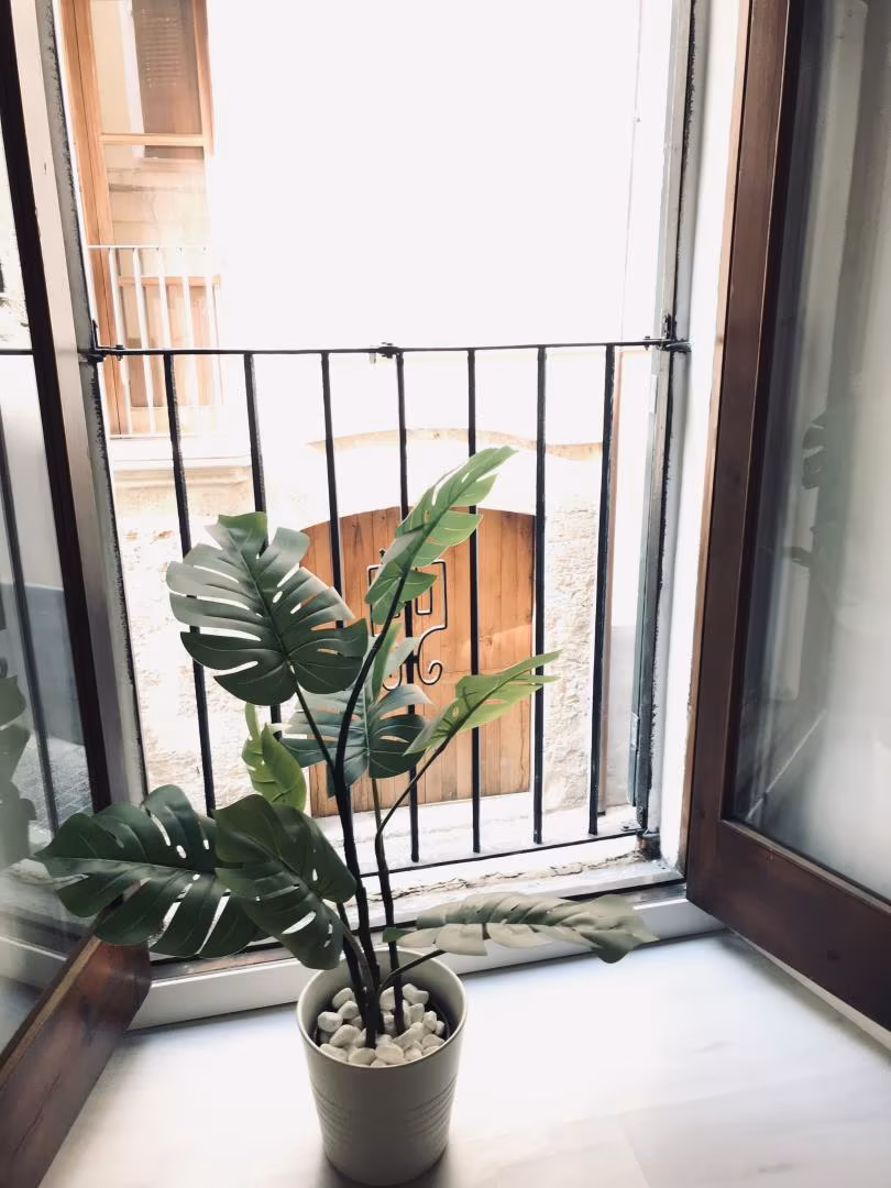 Estudio en  Carrer de Sant Alonso 18 - Foto 2