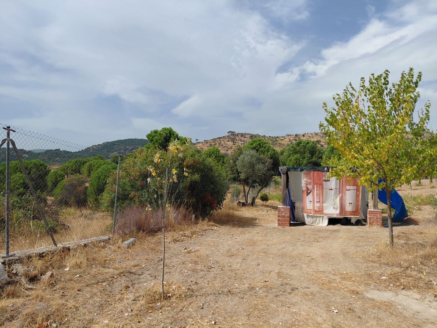 Finca rústica en Viñalajara, 8 poligonoparcela - Foto 13