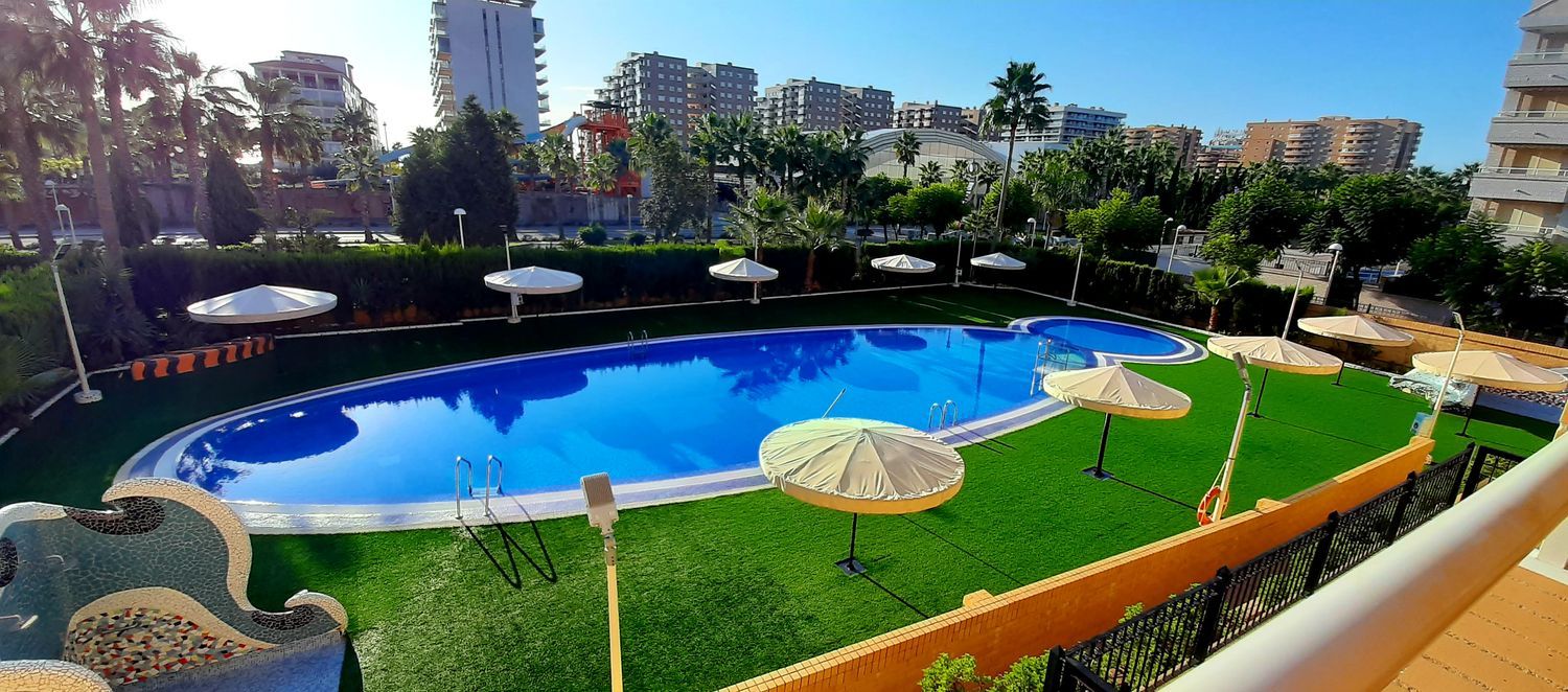 Piso en Avenida Central, 14, Marina Trebol - Neptuno - Foto 12