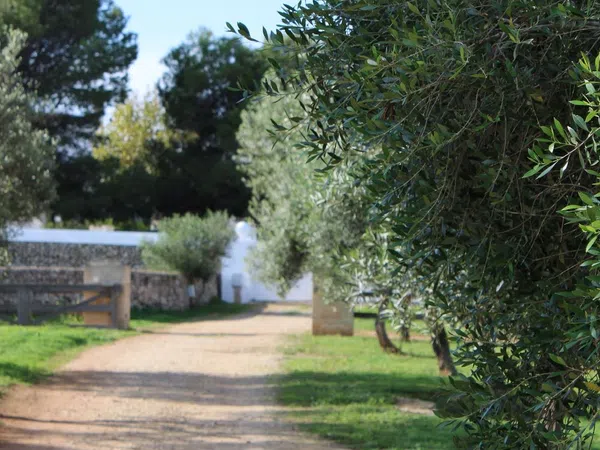 Casa rural en Calle de sa Pleta, 1, Ciutadella, Ciutadella - Foto 16