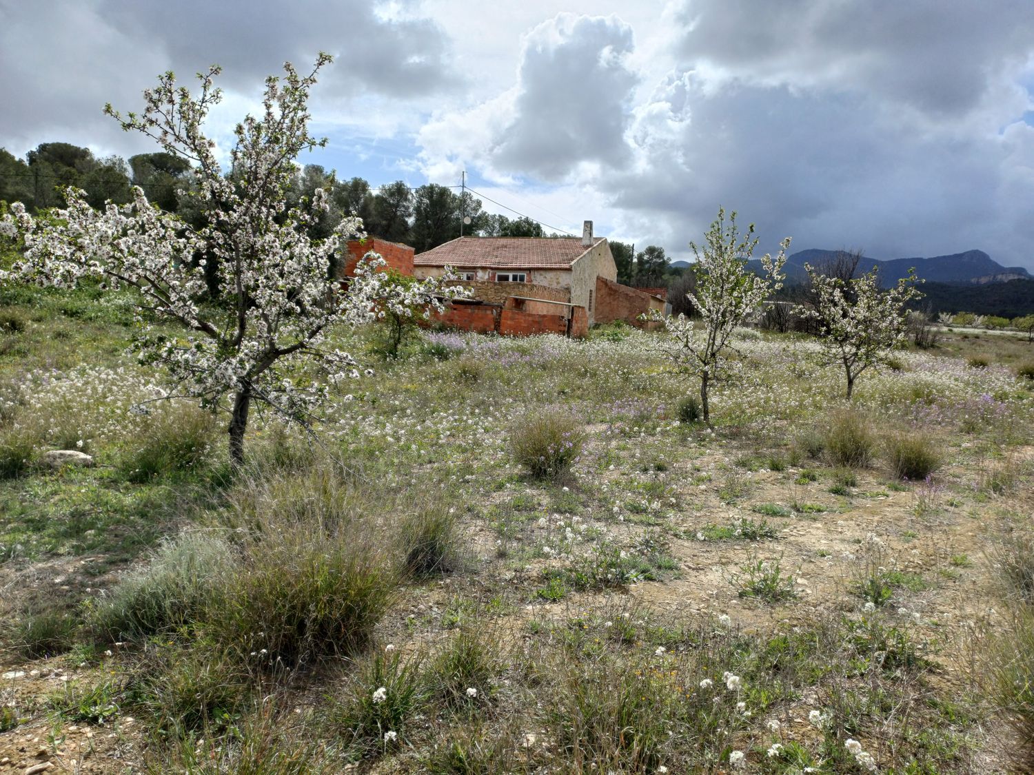 Casa independiente en Sierra de la Pila, 3 - Foto 4