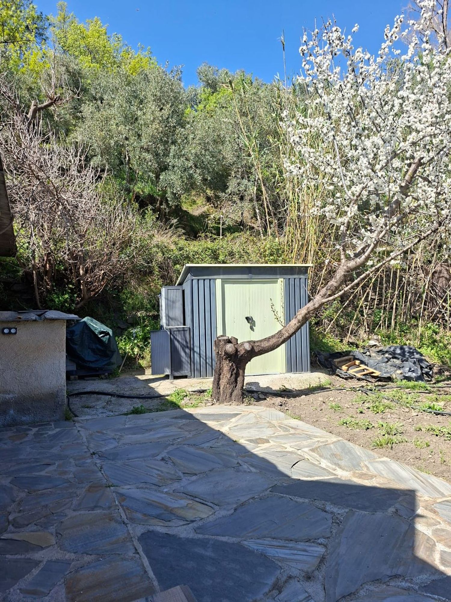 Cortijo en Cortijo en camno del agua agria, 12 - Foto 16