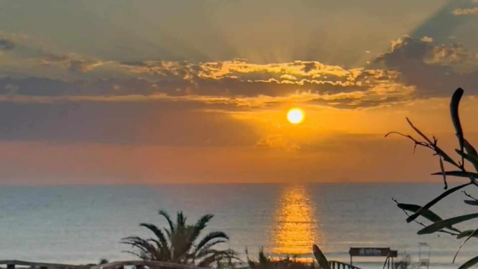 Chalet en  Lugar Alzabaras Alto Poligono 1 1041 - Foto 13