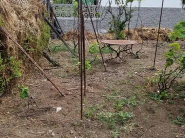Terreno Residencial en  Lugar Llanos de Cuatro Caminos 122 - Foto 5