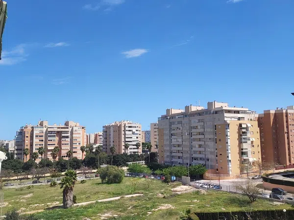 Piso en avenida Esportista Miriam Blasco, 1 - Foto 6