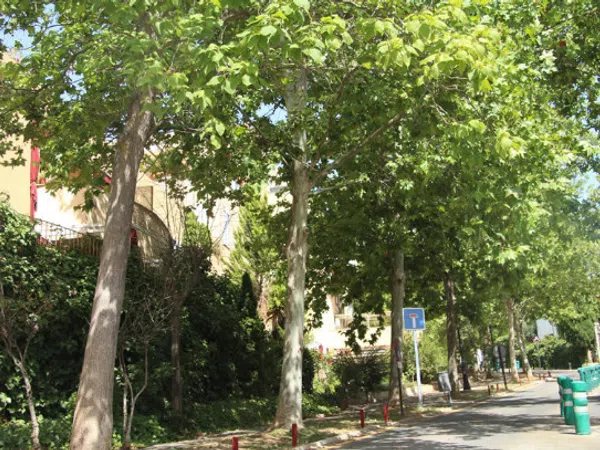 Piso en Calle Aixa la Horra, 8, Bola de Oro, Bola de Oro - Foto 23