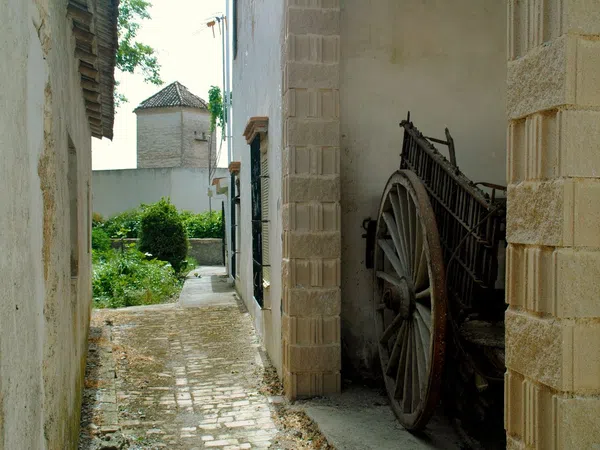 Cortijo en Calle Molino, 1 - Foto 14