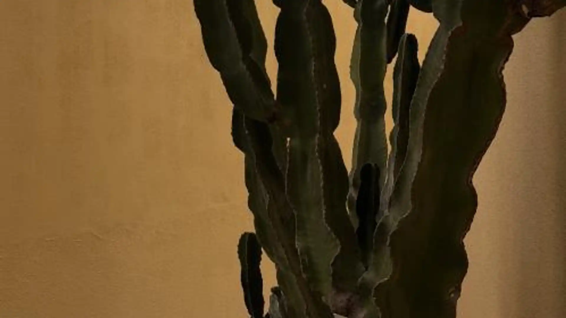 Dúplex en  Calle Alfonso de Armas Ayala 23 - Foto 1