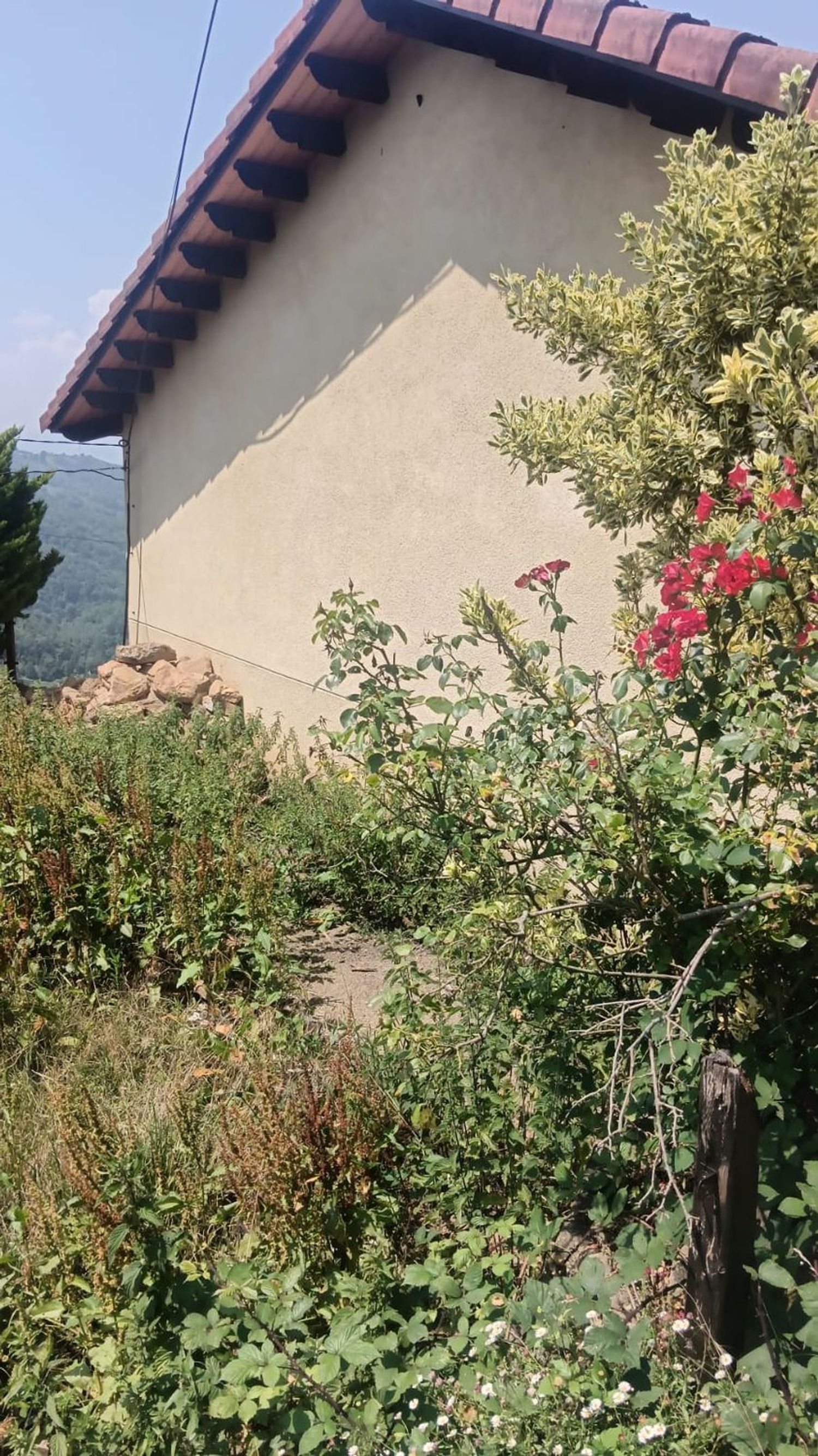 Casa o chalet independiente en Aldea el Ciacal, 28, Ciaño - Zona Rural, Ciaño - Zona Rural - Foto 2