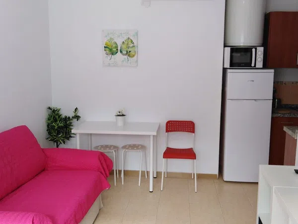 Estudio en Carrera de Capuchinos, 9, El Ejido - Foto 8