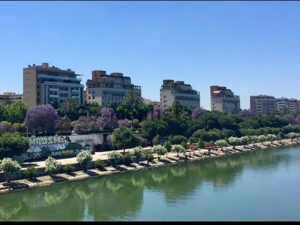 Piso en avenida Concejal Alberto Jiménez-Becerril, 26