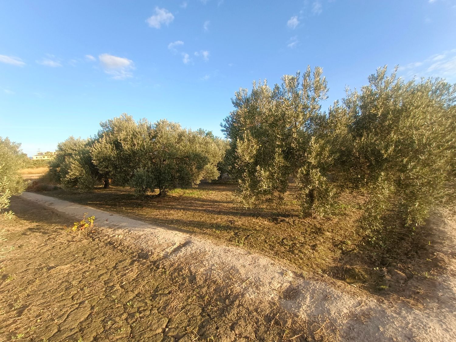 Casa rural en Partida Les penyetes polígono 9 parcela 150, 14, Centro, Centro - Foto 6