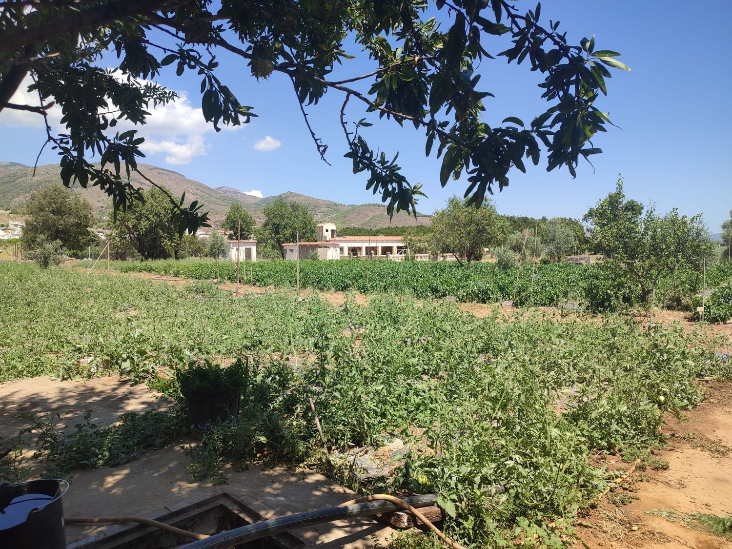 Finca rústica en La vega s/n - Foto 11