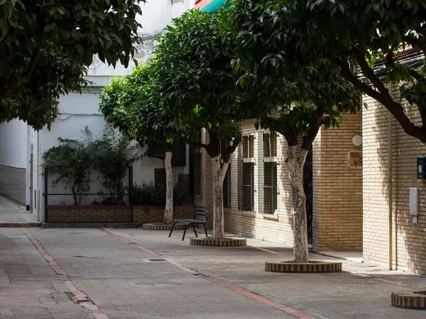 Piso en Calle San Jacinto, 25, Calle Betis - Pagés del Corro - Foto 8