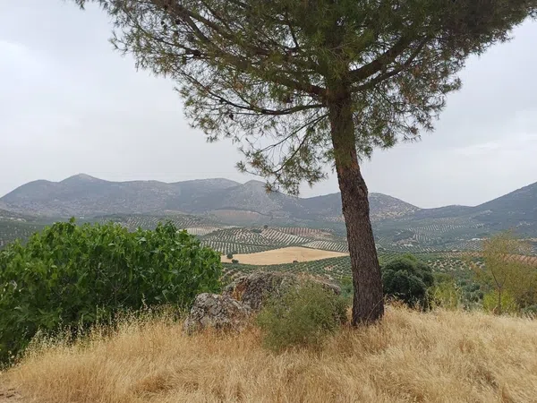 Cortijo en Cortijo en Unnamed Road s/n - Foto 10