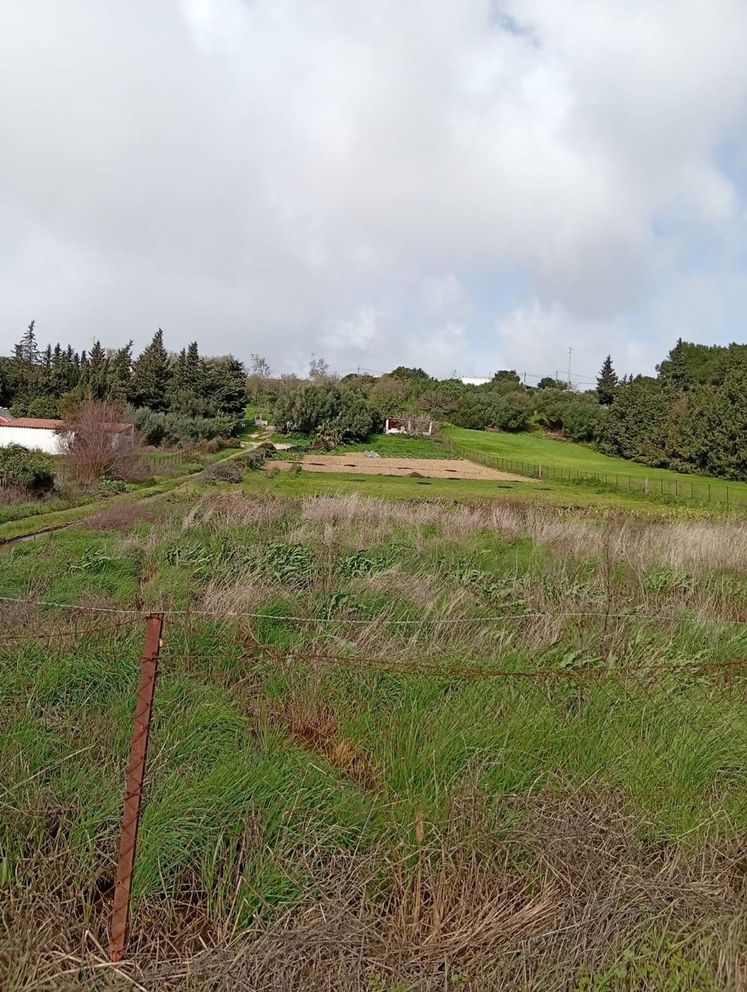 Finca rústica en camino Cañada del Fontanar s/n - Foto 8