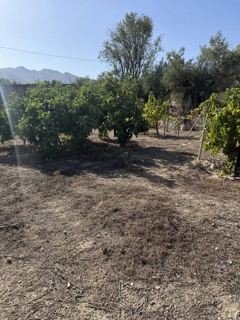 Finca rústica en  Placeta de Molina 2 - Foto 4