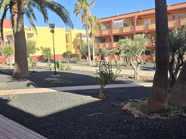 Piso en Calle los Pedruscos, 1, Parque Holandés, Parque Holandés - Foto 17
